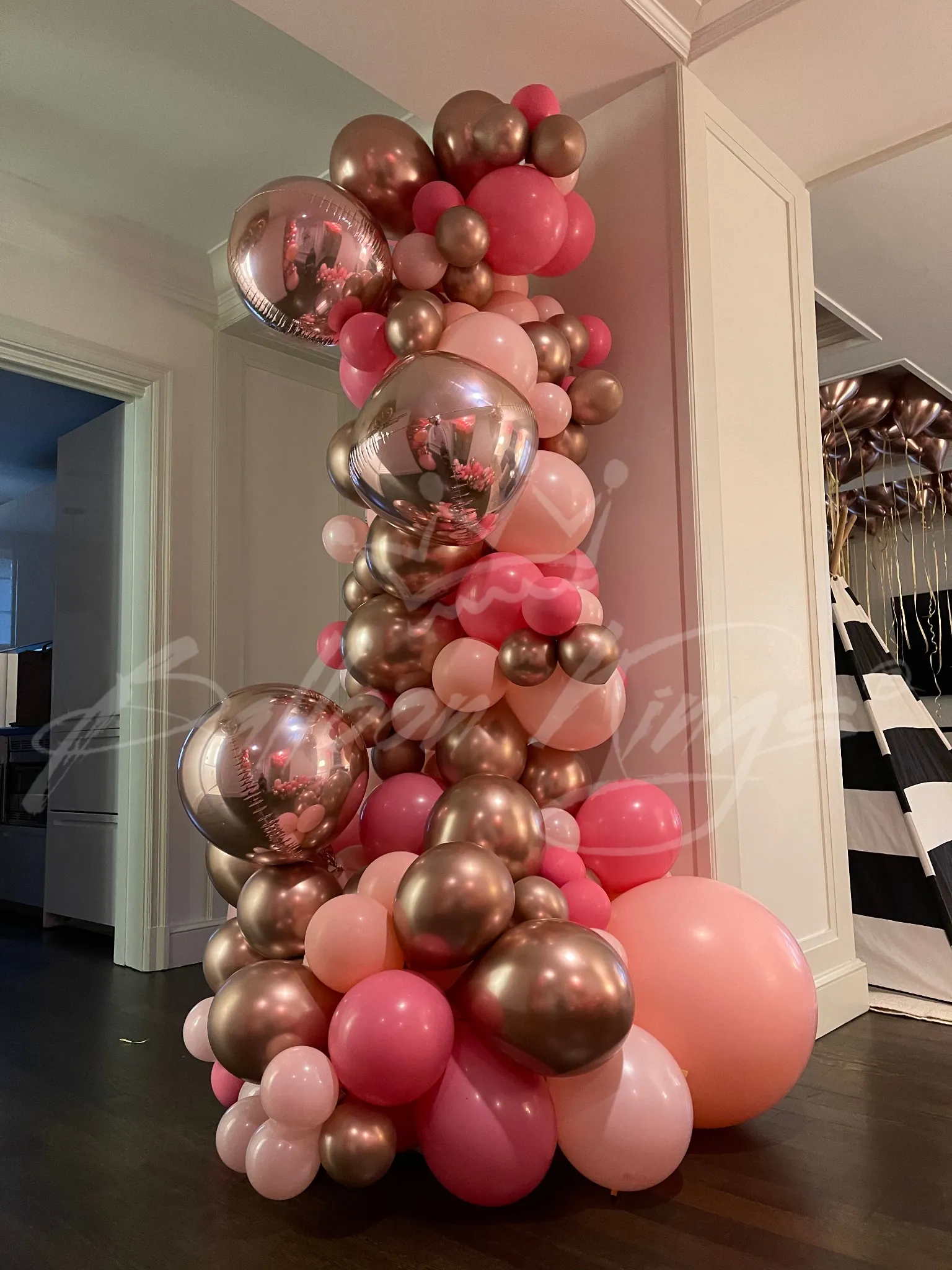 Balloon Kings Dallas